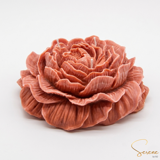 Peony Éclat #PE06