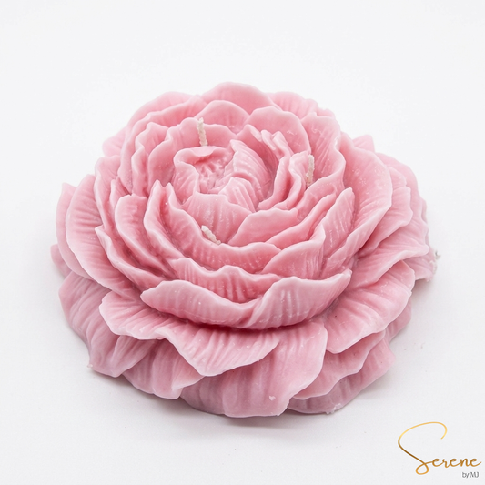 Peony Éclat #PE08